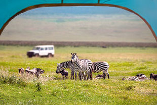Camping-Safari – Von Maun zu den Victoria-Wasserfällen