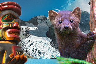 Rundreise Westkanada – Berge, Gletscher & Pazifik