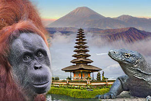 Tiere, Tempel und Natur