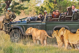 Garden Route, Safari und Indischer Ozean