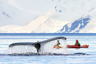 Expedition Sea Spirit