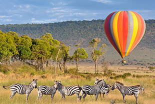 Die Tierwelt Tansanias Exklusiv