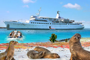 Galapagos Kreuzfahrt mit der „M/V Galapagos Legend“