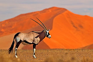 Von Kapstadt nach Windhoek als Komfortreise