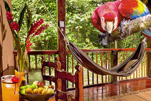 Tambopata-Regenwald Exklusiv